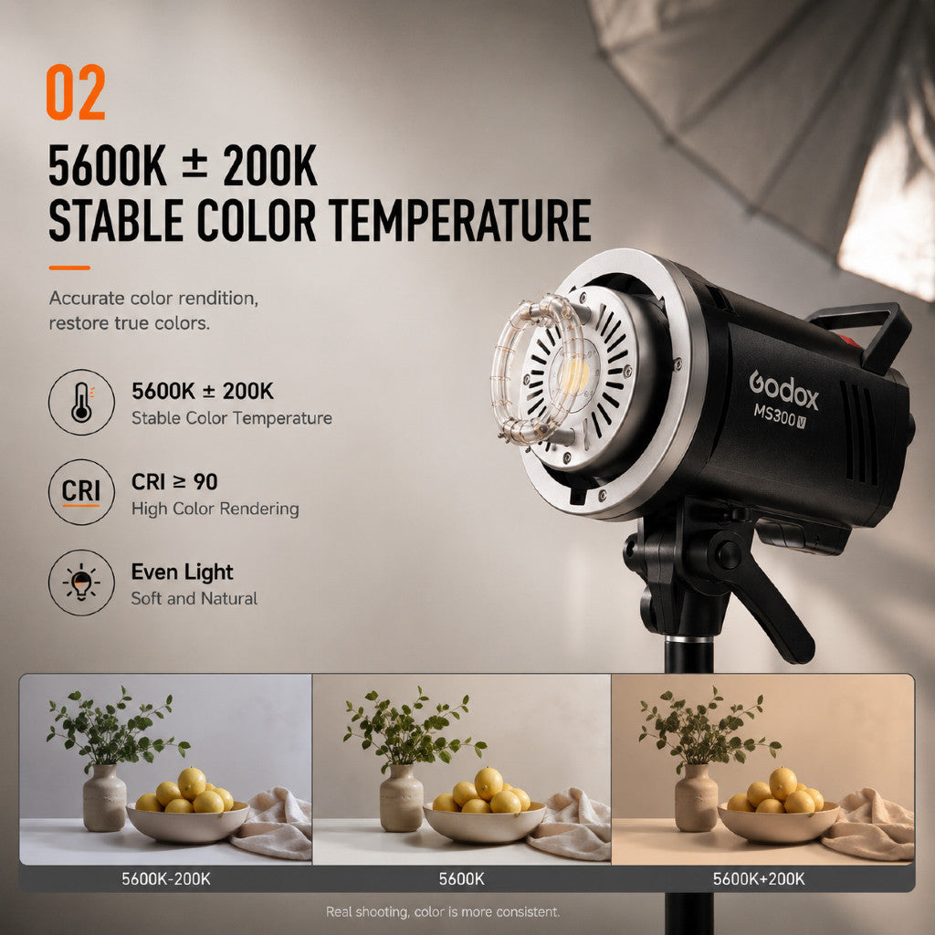 Godox MS300V - Creator Ready